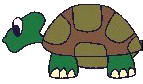 Alonzo the turtle